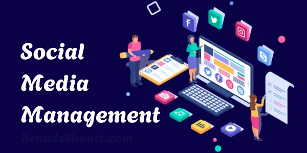 Social Media Management Services
